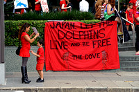 120831 Save Japan Dolphins Brisbane Event (8 of 89) copy