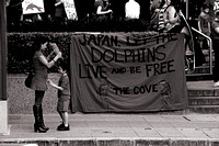 120831 Save Japan Dolphins Brisbane Event (8 of 89)B&W copy