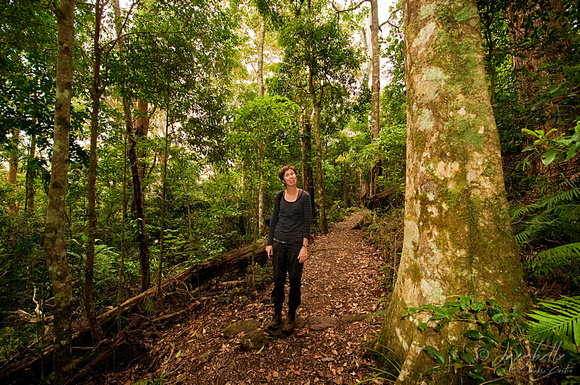 Binna Burra Rainforest Walk Sue (1 of 1) copy