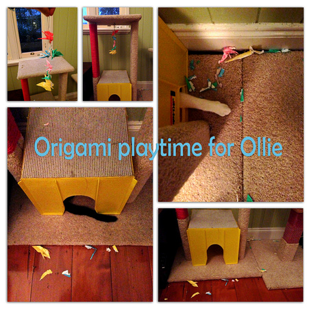 Ollie loves origami (Ollie 7 months)