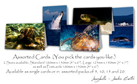 Love Our Marine Life Cards