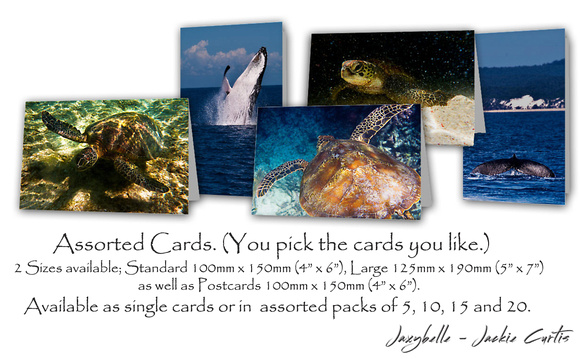 Jaxybelle Love Our Marine Life Cards