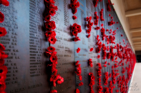 Canberra War Memorial Poppys