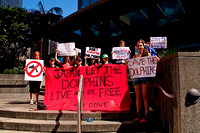 Drive Fisheries Hunt in Japan Protest September 1st 2011 (1 of 34) copy