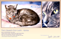 The Grand Old Lady - Kiera