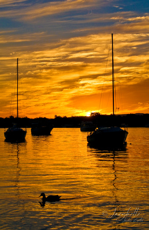 Yacht Sunset Noosa River 4