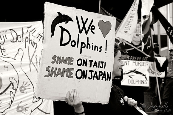 120831 Save Japan Dolphins Brisbane Event (29 of 89)B&W copy