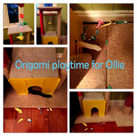 Ollie loves origami (Ollie 7 months)