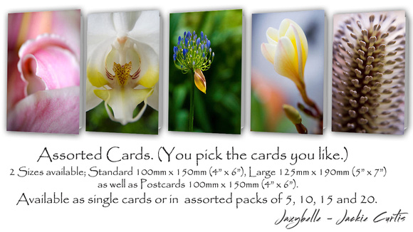 Jaxybelle Floral Cards