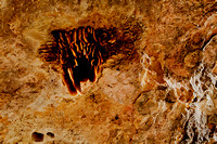 110619 Feral Bee Hive Stockyard Gully Cave WA