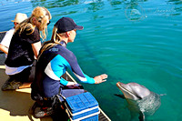Jacqui low res file Trainer Kelly with Dolphin Howie