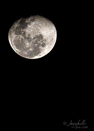 27.08.2010 Moon