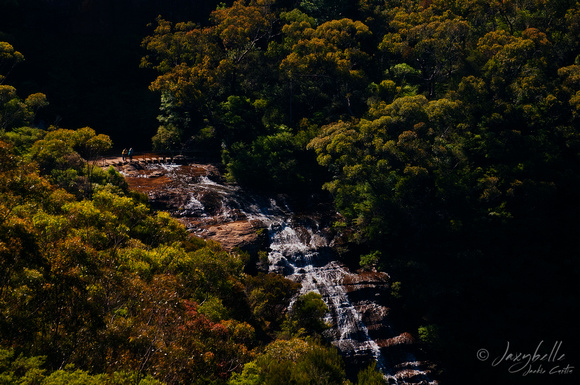 101229 Blue Mountains Wentworth Falls