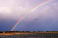 110630 Caloundra Golden Beach Rainbow 5