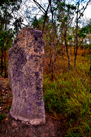 Litchfield National Park - Magnetic Termite Mound