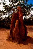 Litchfield National Park - Cathedral Termite Mound 2
