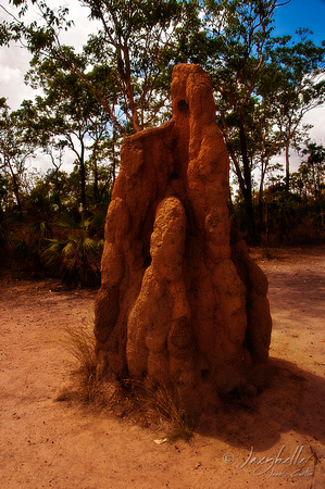 Litchfield National Park - Cathedral Termite Mound 2