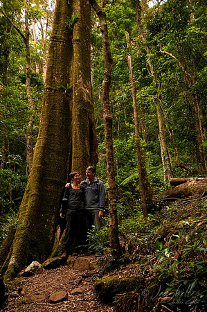 Binna Burra Rainforest Walk Sue & Steve (1 of 3) copy